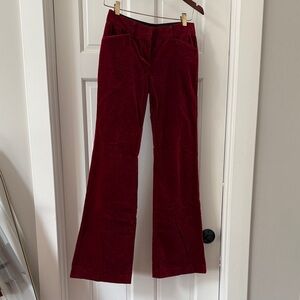 Express Red Velvet Boot Cut Pants